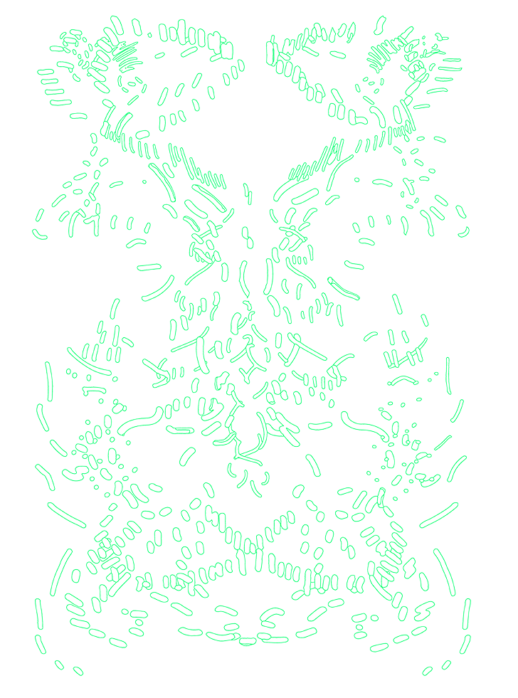 description of project